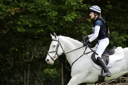 D27_0180 2026