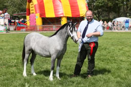 E34_1699 2026