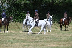 S60_0667 2026