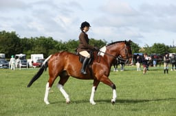 E36_0347 2026