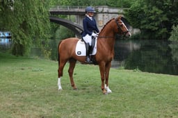 X29_0970 2026