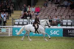 Royal Welsh Ridden Championship