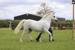 J36_7135 2026