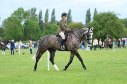 H36_8160 2026
