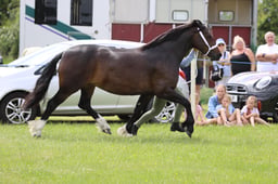 J36_7312 2026