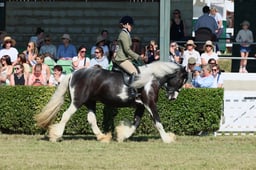 S61_0682 2026
