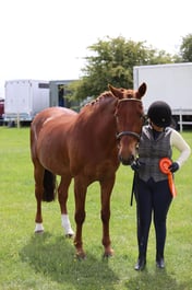 J36_6864 2026