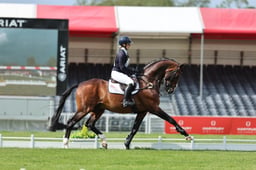 Stallion Parade