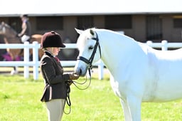 61 M&M Pure Novice Commemara & NF