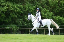 525 KILDROMIN CHAMP