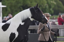 S28_9385 2026