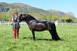 S19_8077 2026