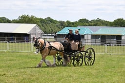 H254 HOYS Private Driving Small