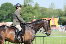 47 RoR Amateur Ridden Show Horse