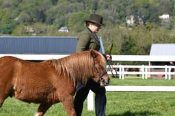 S19_7262 2026