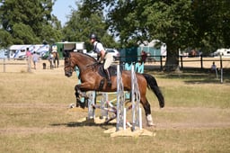 372 NO.73 ZAK