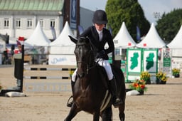 89 Junior Equitation 153cm