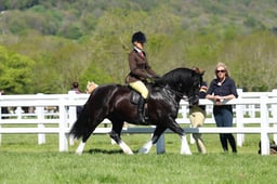 H19_0393 2026