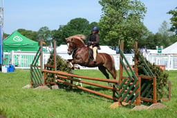 18 Training Stakes 75cms