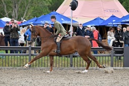 A28_0800 2026
