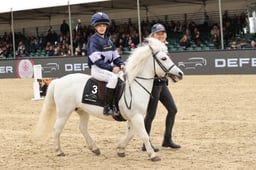 Shetland Pony Grand National