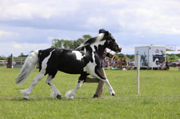 J36_7509 2026