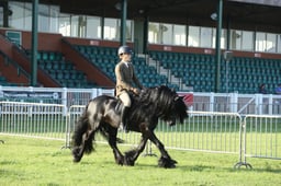 E33_0026 2026