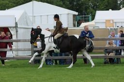 S28_8024 2026