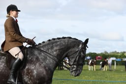 E36_0335 2026