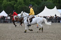 A29_2906 2026