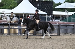 A29_0696 2026