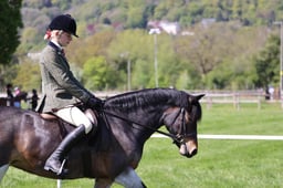 91-89 M&M Young Ridden Pony Championship
