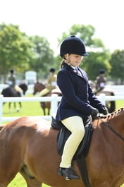 79 Novice Show Pony 133cm