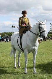 E36_2402 2026