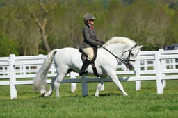 H19_0104 2026