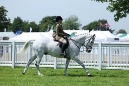 F34_2033 2026