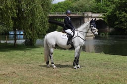 L31_1352 2026