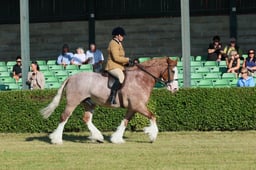 S61_0097 2026