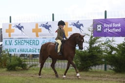 SHP Mini Championship