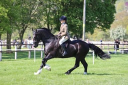 C19_0887 2026