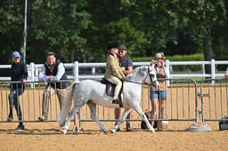 A65_0500 2026