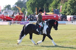 Ridden Coloured Championship