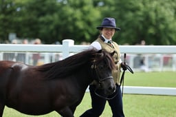 Z41_0554 2026