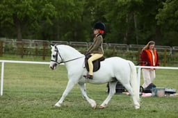 E30_4534 2026