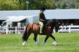 H19_0527 2026