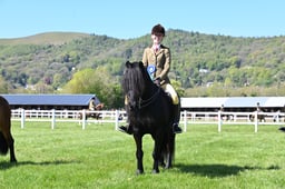 S19_7508 2026