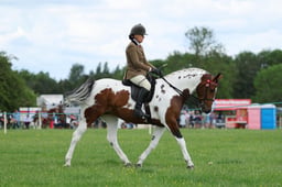 H36_8622 2026