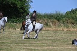 S60_0565 2026