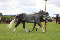 J36_5901 2026