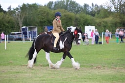 W36_2295 2026